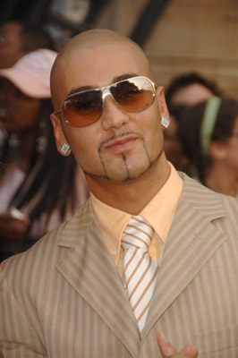 massari 